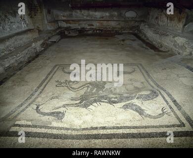 Italien. Herculaneum. Zentrale Thermae (ca. Anfang des 1. Jh. nach Chr.). Die Bäder. Das Tepidarium hat eine gewölbte Decke mit Stuck verziert. Es wurde mit Hilfe von heißer Luft, die unter dem Boden und in den Kanälen in der Wand erwärmt. Der Boden ist ein Mosaik, ein Triton von Delfinen umgeben. Stockfoto