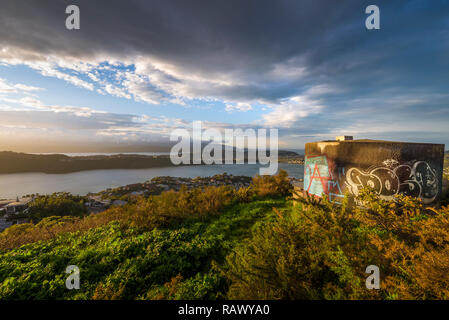 Ein Blick auf die Spitze des Mt Victoria in Wellington in Neuseeland Stockfoto