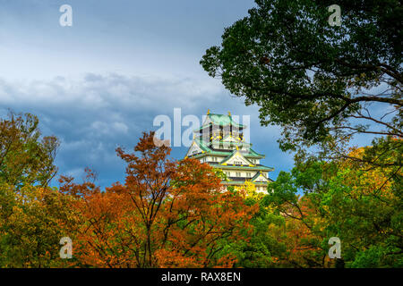 Schöne Burg von Osaka mit Laub, Herbst in Japan, Reisen Hintergrund mit Kopie Raum Stockfoto