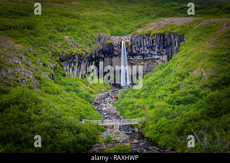 Berühmte Svartifoss Wasserfall. Eine andere benannte Schwarz fallen. In Skaftafell, Vatnajökull National Park, Island entfernt Stockfoto