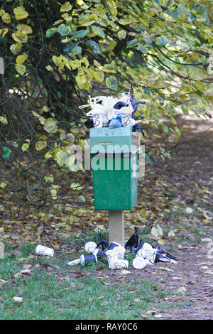 Hund Abfalleimer mit Takeaway Kaffeetassen umgeben. Stockfoto