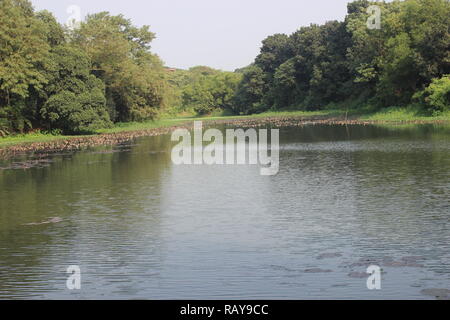 Der See von Jahangirnagar Universität, Dhaka, Bangladesch Stockfoto