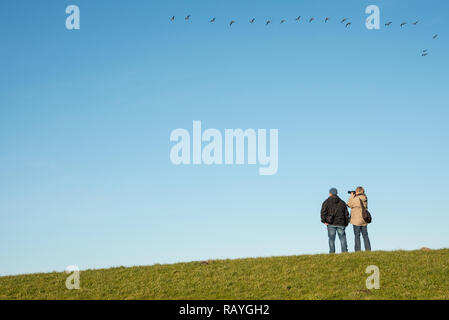 Mann eine Frau, die auf dem Deich steht und Vögel in blauem Himmel fliegen Stockfoto