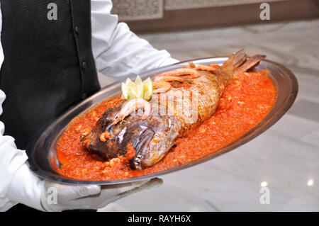 Im marokkanischen Stil Fisch ist in der Hochzeit serviert. Fisch mit Tomatensauce. Stockfoto