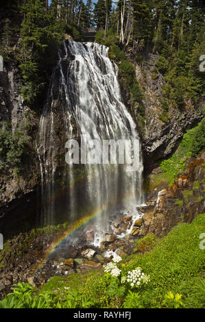 WA 15661-00 ... WASHINGTON - Regenbogen auf der paradiesischen Fluss, als es über Narada fällt im Mount Rainier National Park fällt. Stockfoto