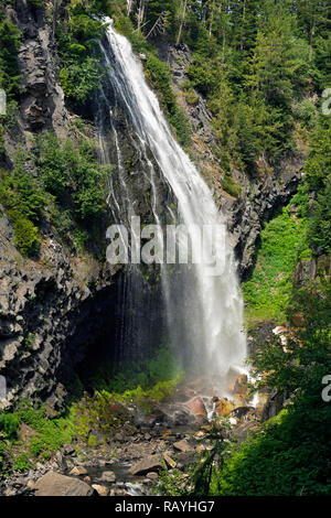 WA 15663-00 ... WASHINGTON - basaltsäulen an der Basis von Narada fällt auf das Paradies im Mount Rainier National Park. Stockfoto