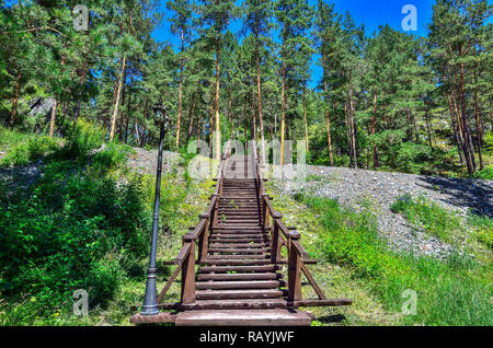 Wanderweg der Gesundheit mit hölzernen Treppe, die zu dem Hügel. Сlean gesunde Luft der Kiefern Grove gesättigt mit Ozon. Pinienwald im Altai Berg Stockfoto