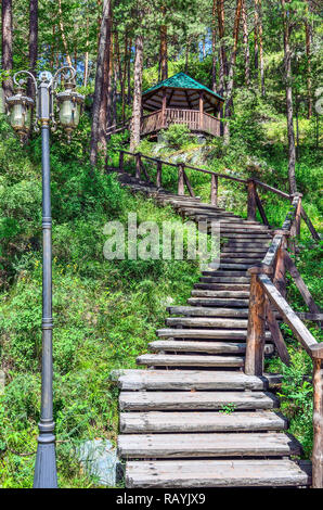 Wanderweg der Gesundheit mit hölzernen Treppe, die zu dem Hügel und Arbor. Сlean gesunde Luft der Kiefern Grove gesättigt mit Ozon. Pinienwald in Einem Stockfoto