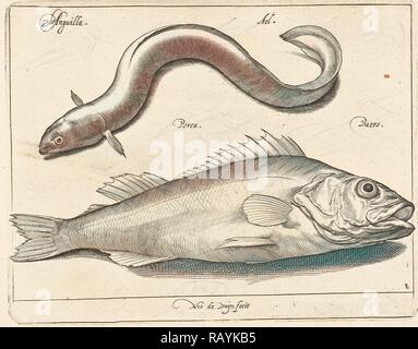 Aal und Bass, Nicolaes de Bruyn, 1581 - 1656. Neuerfundene durch Gibon. Klassische Kunst mit einem modernen Touch neuerfundene Stockfoto