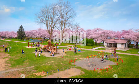 Voller Blüte Cherryblossom Sakura bei Kitakami Tenshochi Park in Kitakami, Iwate, Japan Iwate, Japan - 22 April 2018: kitakami Tenshochi Park von Stockfoto
