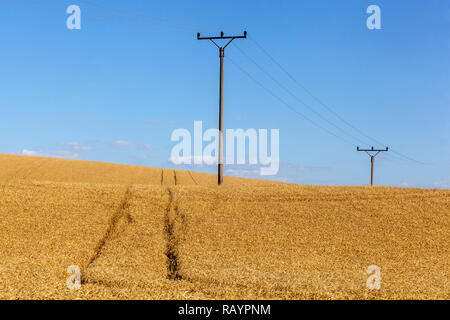 Südmähren Landschaft, goldene Weizenfeld mit ländlichen Stromleitungen pylon, Landschaft, Tschechische Republik Europa Stockfoto