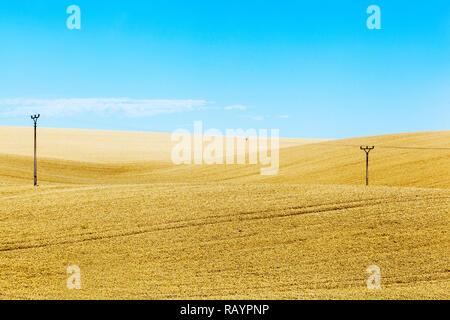 Südmähren Landschaft Tschechien, Goldweizenfeld mit Masten, Landschaft, Mährische Felder Stockfoto