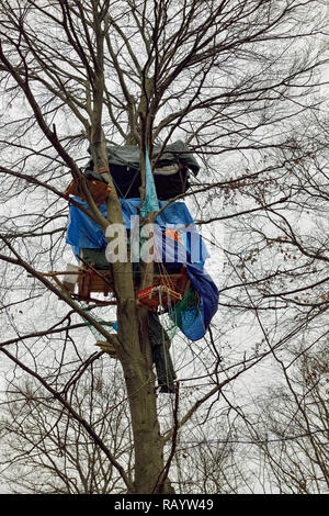 Blick auf baumhäusern hoch oben in einem Baum des Hambacher Forst, einem alten Wald, der ein beliebtes Symbol im Kampf gegen die globale Erwärmung. Stockfoto