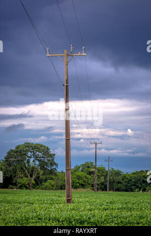 Eine elektrische Pole Verknüpfen einer abgelegenen Farm in der Mitte eines Sojabohnenernte in Brasilien in einem bewölkten Himmel Stockfoto