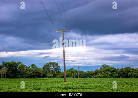 Eine elektrische Pole Verknüpfen einer abgelegenen Farm in der Mitte eines Sojabohnenernte in Brasilien in einem bewölkten Himmel Stockfoto