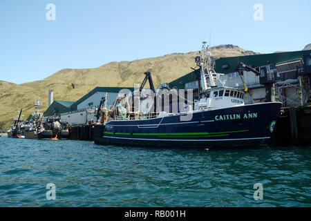 Eine kommerzielle Fischerboot entlädt seine Ladung von frischem Fisch und Meeresfrüchte in einem Verarbeitungsbetrieb in Dutch Harbor, Unalaska Island, Alaska, USA. Stockfoto