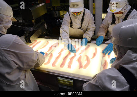 Fisch Mitarbeiter überprüfung Alaska Pollock Fischfilets auf einem hintergrundbeleuchteten Förderband, Dutch Harbor, Unalaska Island, Alaska, USA. Stockfoto