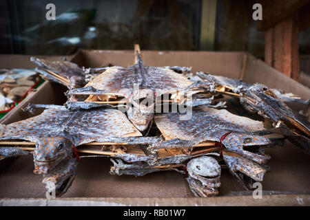 Getrocknet und Aufgespießt Tokay Geckos Stockfoto