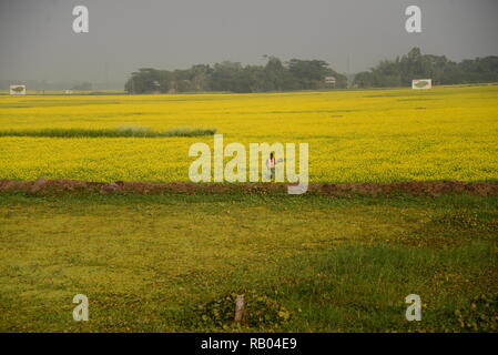 Dhaka, Bangladesch. Januar 04, 2019. Bangladeshi Leute gehen in den Senf Blume Bereich in Munshigonj in der Nähe von Dhaka, Bangladesch am 04 Januar, 2019. Senf ist eine kühle Wetter zuschneiden und wird aus Samen gesät im frühen Frühling. Von Mitte Dezember bis Ende Januar, Bangladesch Landwirte pflegen Ihre Pflanzen von bunten gelber Senf Blumen, die in voller Blüte stehen. Credit: Mamunur Rashid/Alamy leben Nachrichten Stockfoto