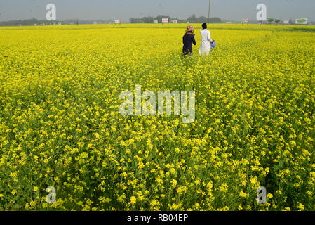 Dhaka, Bangladesch. Januar 04, 2019. Bangladeshi Leute gehen in den Senf Blume Bereich in Munshigonj in der Nähe von Dhaka, Bangladesch am 04 Januar, 2019. Senf ist eine kühle Wetter zuschneiden und wird aus Samen gesät im frühen Frühling. Von Mitte Dezember bis Ende Januar, Bangladesch Landwirte pflegen Ihre Pflanzen von bunten gelber Senf Blumen, die in voller Blüte stehen. Credit: Mamunur Rashid/Alamy leben Nachrichten Stockfoto