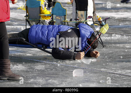 Hwacheon, Südkorea. 5 Jan, 2019. Januar 5, 2019 - Hwacheon, South Korea-Visitors cast Linien durch die Löcher in der Oberfläche eines gefrorenen Flusses während eine Forelle fangen Wettbewerb in Hwacheon, Südkorea gebohrt. Der Wettbewerb ist Teil einer jährlichen Ice Festival, das jedes Jahr über eine Million Besucher anzieht. Credit: Ryu Seung-Il/ZUMA Draht/Alamy leben Nachrichten Stockfoto