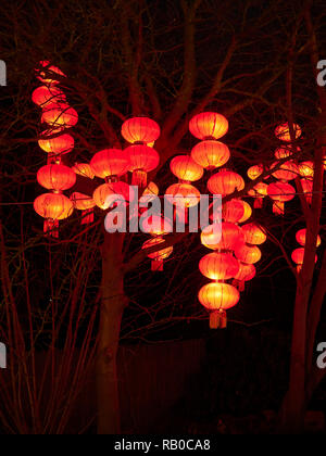 Zoo von Edinburgh, Edinburgh, Schottland, Großbritannien, 5. Januar 2019, den riesigen Laternen von China Anzeige von Fabelwesen, Legenden und Tiere im Zoo im Januar 2019. Chinesische Laternen in den Bäumen. Stockfoto