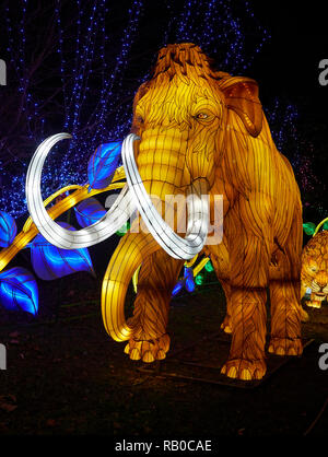 Zoo von Edinburgh, Edinburgh, Schottland, Großbritannien, 5. Januar 2019, den riesigen Laternen von China Anzeige von Fabelwesen, Legenden und Tiere im Zoo im Januar 2019. Wooly Mammoth. Stockfoto