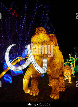 Zoo von Edinburgh, Edinburgh, Schottland, Großbritannien, 5. Januar 2019, den riesigen Laternen von China Anzeige von Fabelwesen, Legenden und Tiere im Zoo im Januar 2019. Wooly Mammoth und Sabre Zahnriemen Tiger. Stockfoto