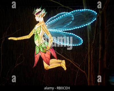 Zoo von Edinburgh, Edinburgh, Schottland, Großbritannien, 5. Januar 2019, den riesigen Laternen von China Anzeige von Fabelwesen, Legenden und Tiere im Zoo im Januar 2019. Flying Fairy. Stockfoto