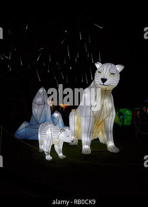 Zoo von Edinburgh, Edinburgh, Schottland, Großbritannien, 5. Januar 2019, den riesigen Laternen von China Anzeige von Fabelwesen, Legenden und Tiere im Zoo im Januar 2019. Polar Bear Family. Stockfoto