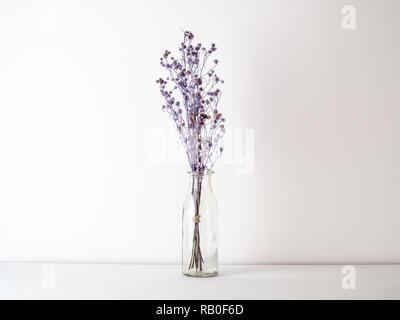 Bukett von getrockneten und verwelkte lila Gypsophila Blumen im Glas Flasche auf weißen Boden und Hintergrund Stockfoto