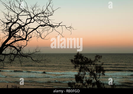 Blick auf einen typischen australischen Strand - Coolum Beach - bei Sonnenuntergang mit Bäumen und orange Himmel ohne Wolken (Sunshine Coast, Queensland, Australien) Stockfoto