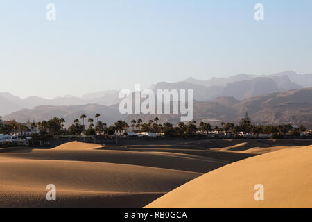 Lange Schatten auf Sanddünen in der Wüste vor Palmen und eine riesige Bergkette bei Sonnenuntergang (Dunas de Maspalomas, Gran Canaria, Spanien, Europa) Stockfoto