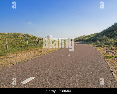 Asphaltierten Radweg mit Trennlinie in der Amsterdamer Wasserversorgung Dünen in der Nähe von Amsterdam und Zandvoort Stockfoto