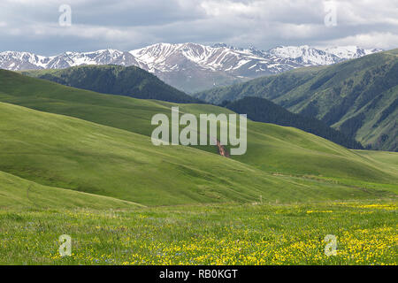Assy Plateau, wo die nomadischen Menschen gehen im Sommer, in der Nähe der Stadt Almaty, Kasachstan. Stockfoto