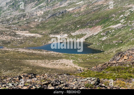 Sommer Alpine Wiesen an der Spitze der Trophy Mountain im Wells Gray Provincial Park, British Columbia, Kanada Stockfoto