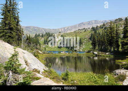 Sommer Alpine Wiesen an der Spitze der Trophy Mountain im Wells Gray Provincial Park, British Columbia, Kanada Stockfoto