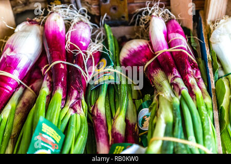 Rom, Italien, 2. JANUAR 2019: Sonnenlicht ist aufschlussreich rote Zwiebeln für den Verkauf in Marktstand Stockfoto