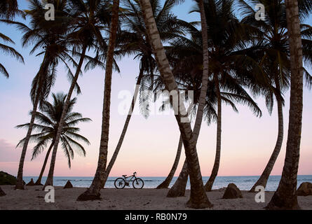 Silhouette Blick auf Palmen und Bike bei Sonnenuntergang am Strand von San Andrés, Kolumbien. Urlaub/ Reisen Konzept. Okt 2018 Stockfoto