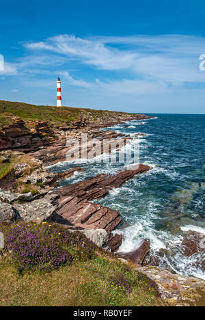 Tarbat Ness Lighthouse an Tarbat Ness in der Nähe Umgebung im Easter Ross Highland Schottland Stockfoto