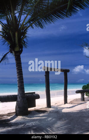 Eine der bekanntesten Strand Sansibar, Kiwengwa, Tansania, Afrika Stockfoto