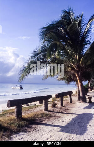 Eine der bekanntesten Strand Sansibar, Kiwengwa, Tansania, Afrika Stockfoto