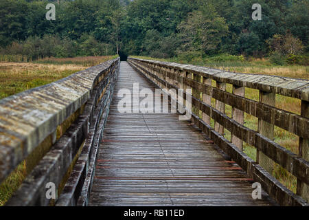 Rustikalen hölzernen Brettern einer Promenade führt zu dunklen Öffnung in Bäume im Wald Stockfoto
