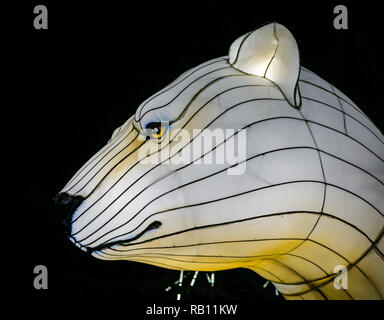 Riesige Laternen von China Anzeige an der Edinburgh Zoo, Weihnachtsfeier, Schottland, Großbritannien. Ein Eisbär Stockfoto