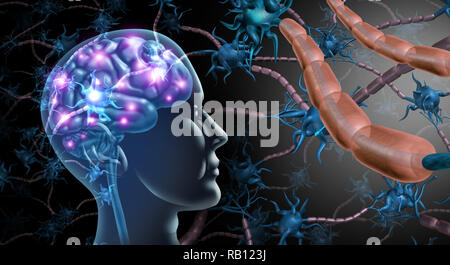 Die Nervenzellen des Gehirns und des Nervensystems Anatomie Konzept als die menschliche Neurologie und Neuron Funktionsstörung Symbol für Multiple Sklerose oder Alzheimer. Stockfoto