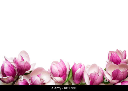 Pink Magnolia Blumen auf weißem Hintergrund mit Kopie Raum für Grußansage isoliert. Muttertag und Frühling Hintergrund Konzept Stockfoto