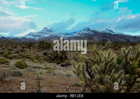 Joshua Bäume und Beaver Dam Berge im Joshua Tree Scenic Byway. Stockfoto