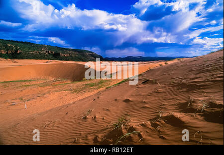 Coral Pink Sand Dunes im südlichen Utah. Stockfoto