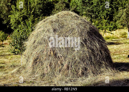 Einen großen Heuhaufen auf der grünen Wiese vor blauem sonnigen Himmel - Bild. Nahaufnahme einer einzelnen großen Heuhaufen in der Nähe der grünen Wald in der Sommersaison. Stockfoto