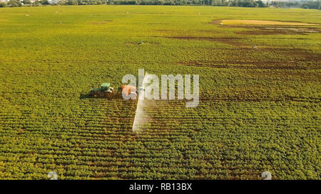 Luftaufnahme Traktor sprühen Chemikalien auf den großen grünen Bereich. Sprühen die Herbizide auf der Farm Land. Behandlung von Kulturpflanzen gegen Unkraut. Stockfoto